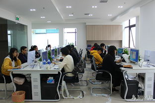 聚貴盈電子商務(wù) 做投資與資產(chǎn)管理業(yè)行業(yè)內(nèi)佼佼者